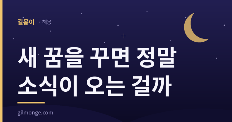 새 꿈을 꾸면 정말 소식이 오는 걸까?