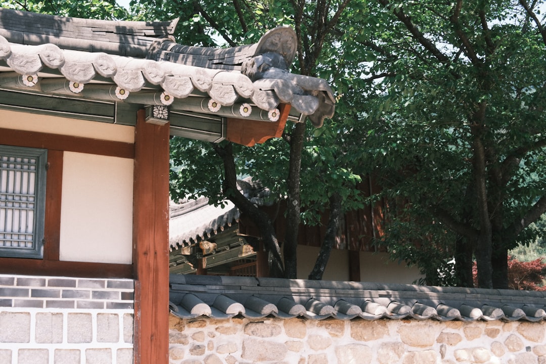 지나온 마음을 비춘 꿈 이야기를 떠올리게 하는 옛 기와집 처마와 낮은 돌담