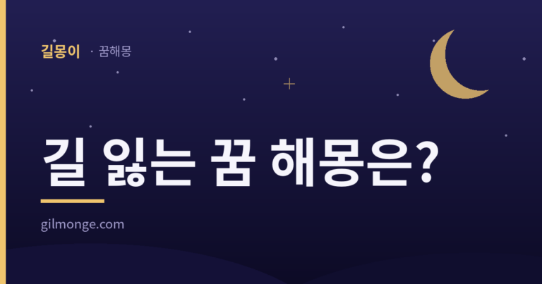 길 잃는 꿈 해몽 대표 이미지