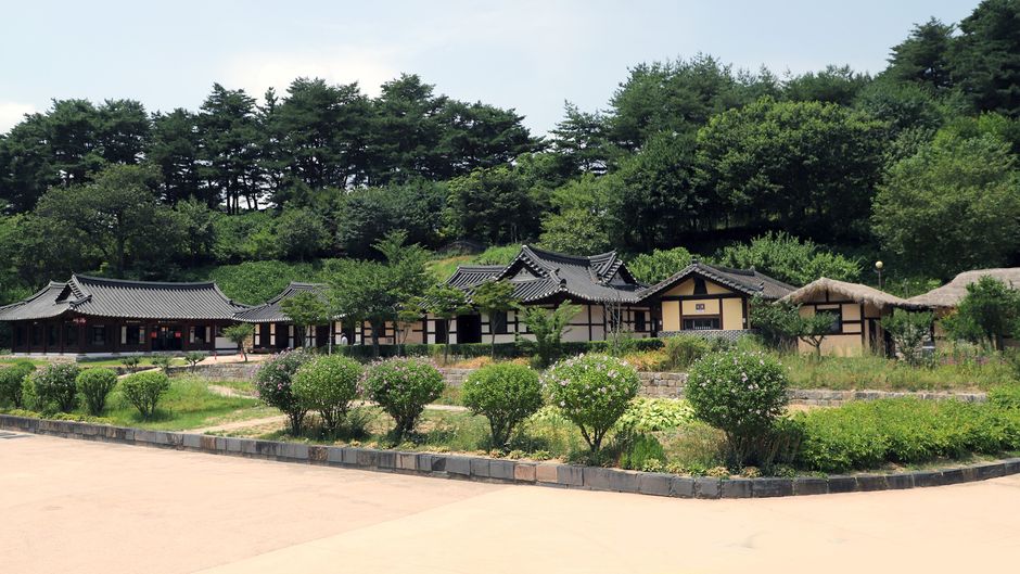 그네 꿈 해몽 — 한옥 마당의 큰 나무