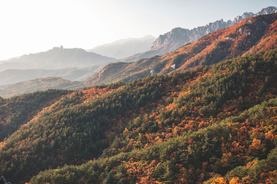 골짜기에 물든 산, 단풍 꿈 해몽 문화층 이미지