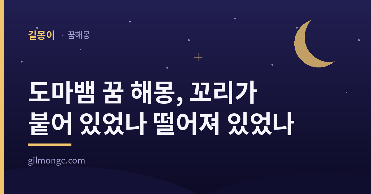 도마뱀 꿈 해몽 대표 이미지 — 길몽이 꿈해몽