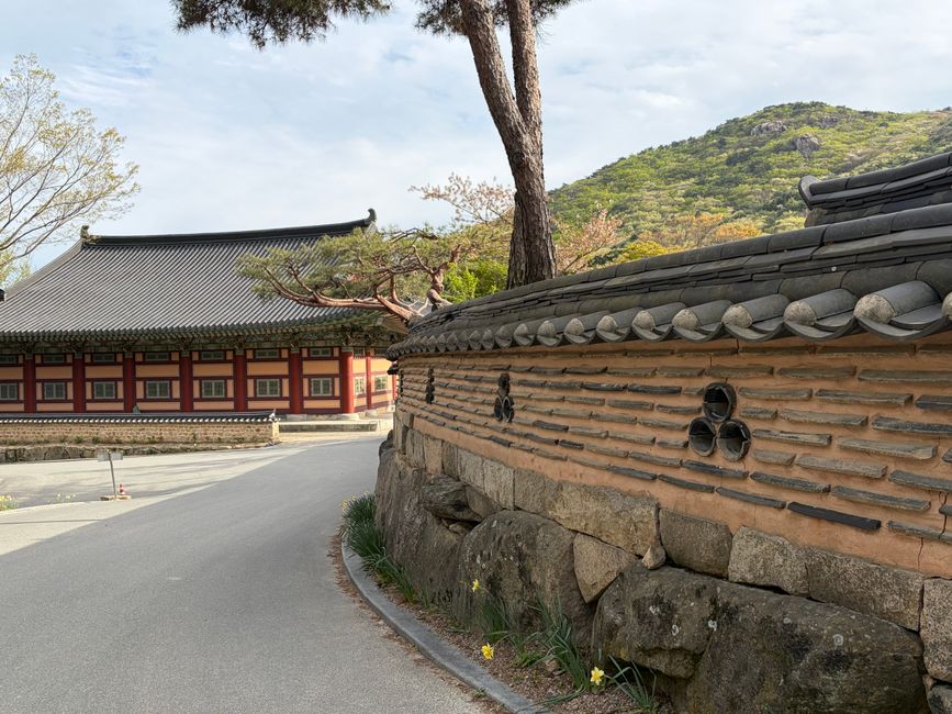 스님 꿈 해몽 산사 돌담을 끼고 오르는 길