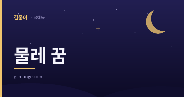 물레 꿈 대표이미지