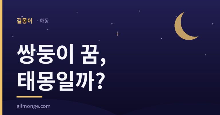 쌍둥이 꿈 해몽은 태몽이 궁금해 왔다면 덜어 낼 것이 하나 있다